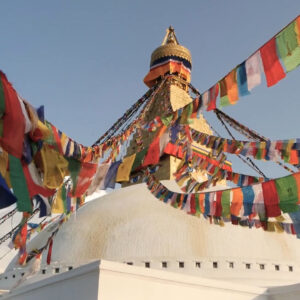 Creative Souls’ Yoga Journey